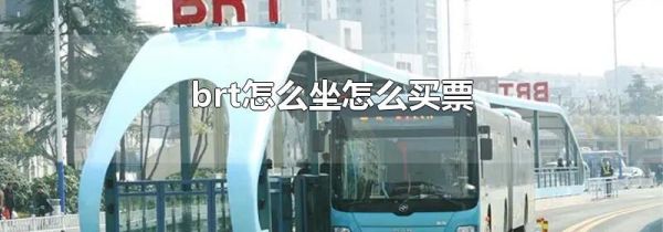brt怎么坐怎么买票