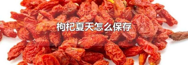 枸杞夏天怎么保存