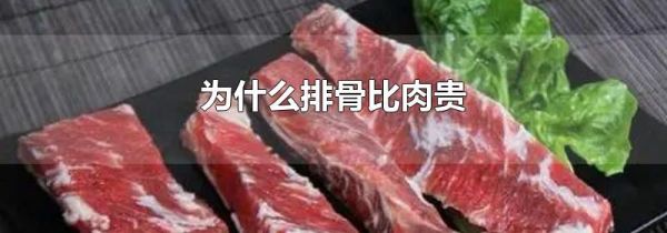 为什么排骨比肉贵