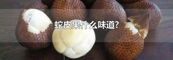蛇皮果什么味道?