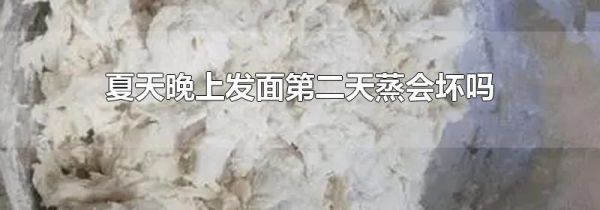 夏天晚上发面第二天蒸会坏吗