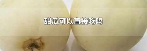 甜瓜可以直接吃吗