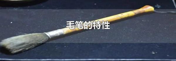 毛笔的特性