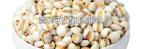 薏米可以直接煮粥吗