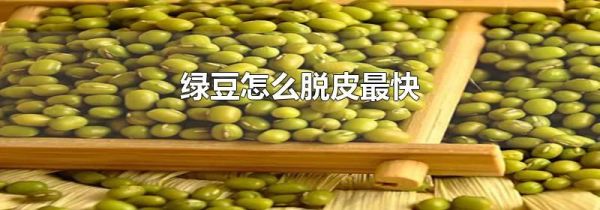 绿豆怎么脱皮最快