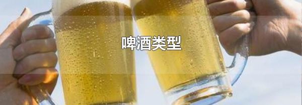 啤酒类型
