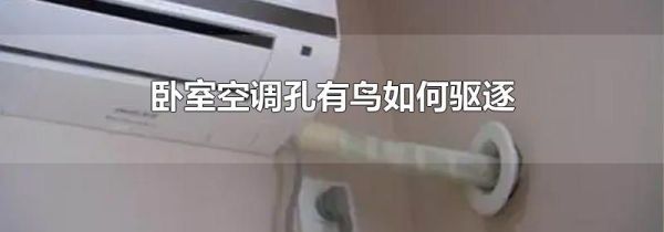 卧室空调孔有鸟如何驱逐
