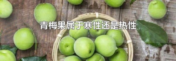 青梅果属于寒性还是热性