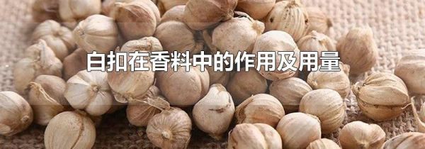 白扣在香料中的作用及用量