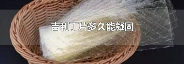 吉利丁片多久能凝固
