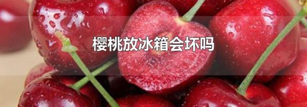 樱桃放冰箱会坏吗