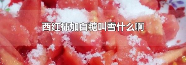 西红柿加白糖叫雪什么啊