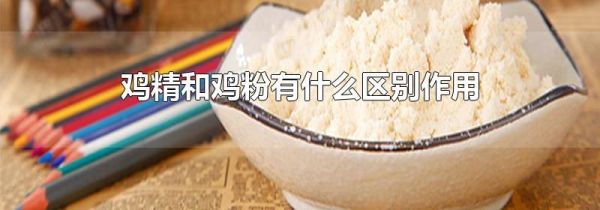 鸡精和鸡粉有什么区别作用