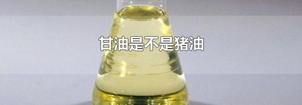 甘油是不是猪油