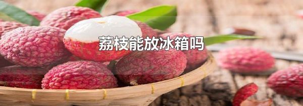 荔枝能放冰箱吗