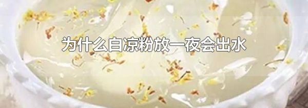 为什么白凉粉放一夜会出水