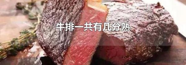 牛排一共有几分熟