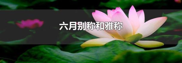 六月别称和雅称