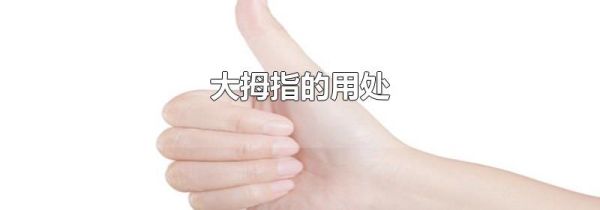 大拇指的用处