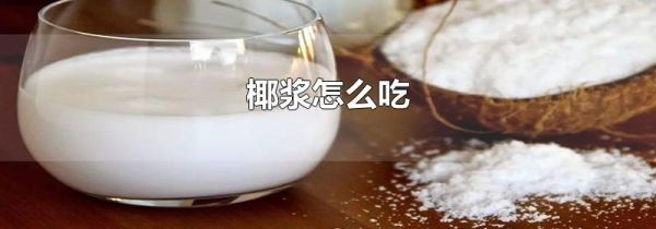 椰浆怎么吃