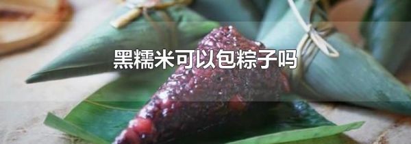 黑糯米可以包粽子吗