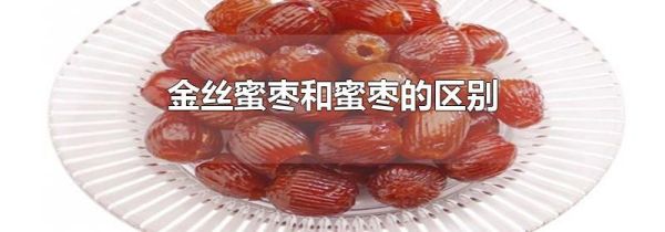 金丝蜜枣和蜜枣的区别