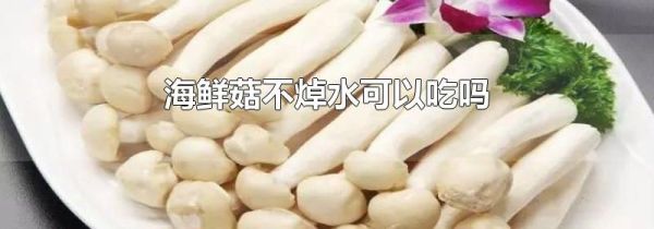 海鲜菇不焯水可以吃吗