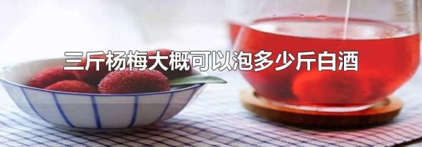 三斤杨梅大概可以泡多少斤白酒
