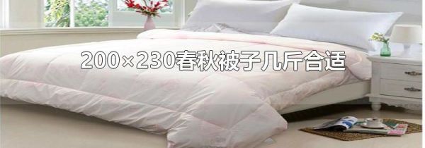 200×230春秋被子几斤合适