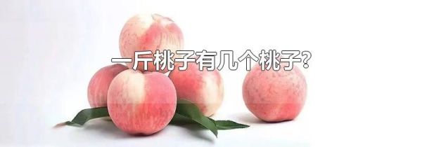 一斤桃子有几个桃子?