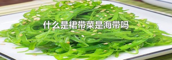 什么是裙带菜是海带吗