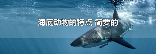 海底动物的特点 简要的
