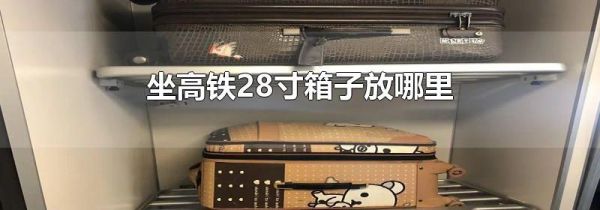 坐高铁28寸箱子放哪里