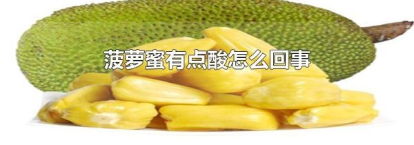 菠萝蜜有点酸怎么回事