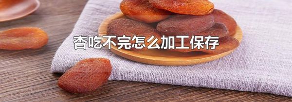 杏吃不完怎么加工保存