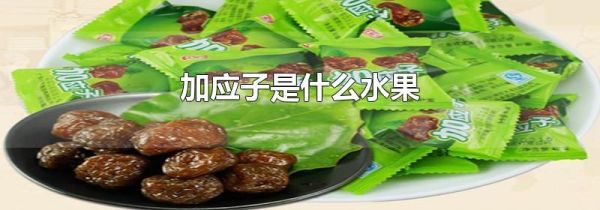加应子是什么水果