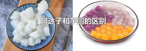 阿达子和芋圆的区别