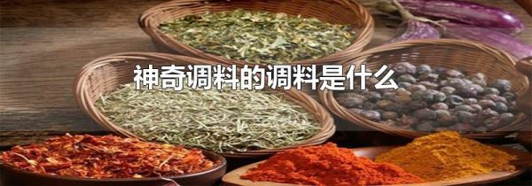 神奇调料的调料是什么