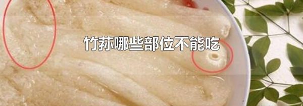 竹荪哪些部位不能吃