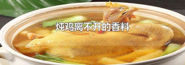 炖鸡离不开的香料