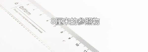 8厘米的参照物