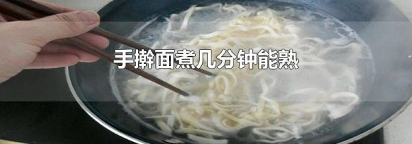 手擀面煮几分钟能熟