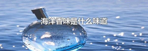 海洋香味是什么味道