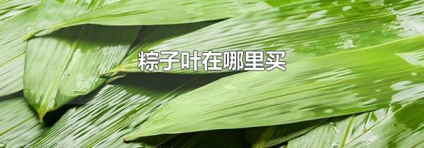 粽子叶在哪里买