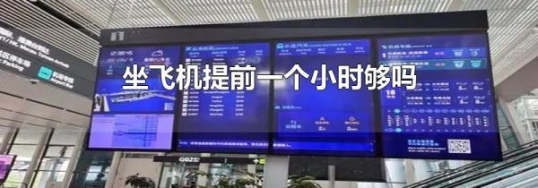 坐飞机提前一个小时够吗