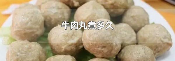 牛肉丸煮多久