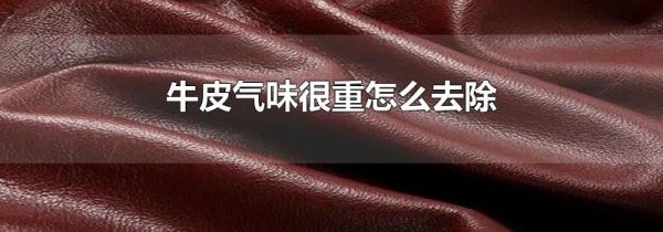 牛皮气味很重怎么去除