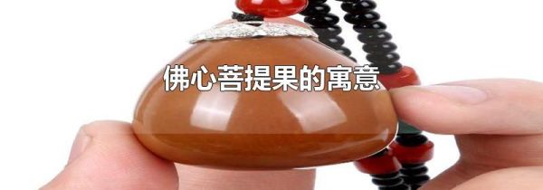 佛心菩提果的寓意