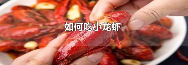 如何吃小龙虾