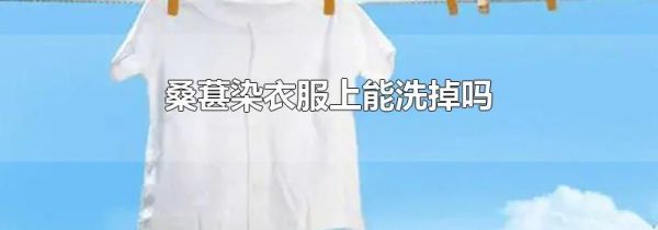 桑葚染衣服上能洗掉吗